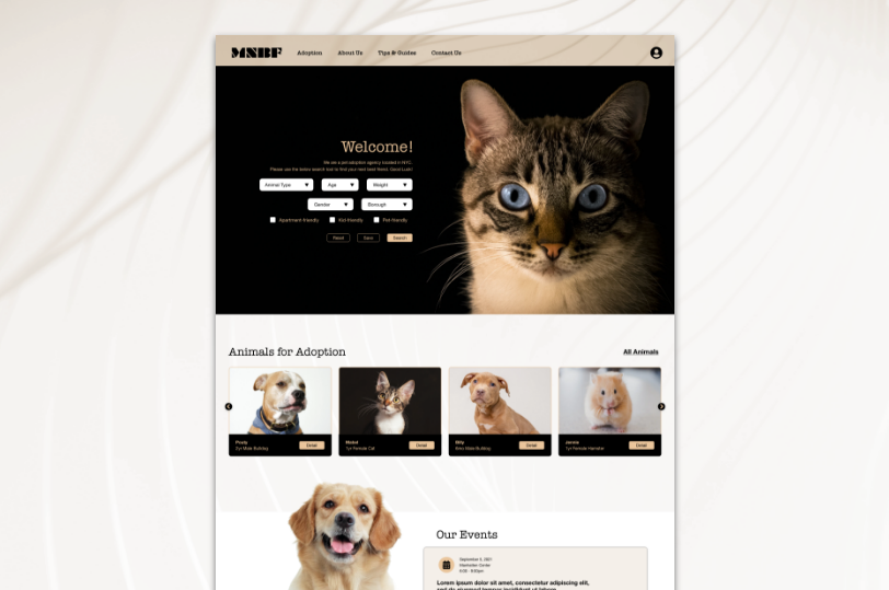 Case Study: Pet Adoption Web Site